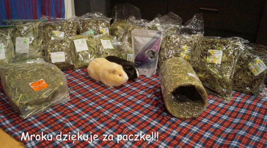 Obrazek
