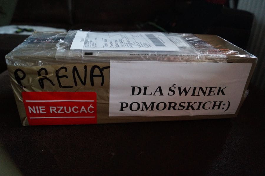 Obrazek